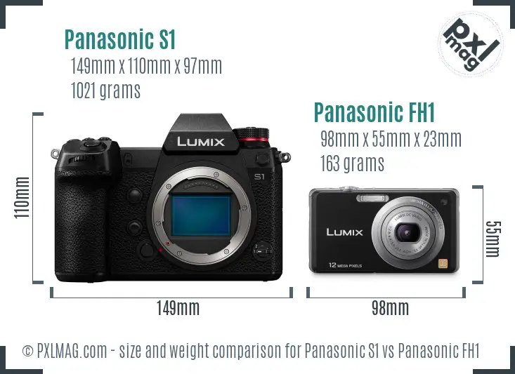 Panasonic S1 vs Panasonic FH1 size comparison