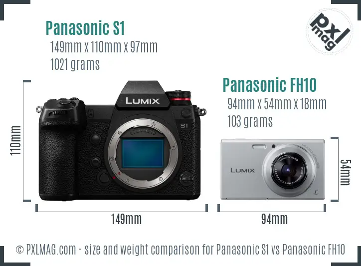 Panasonic S1 vs Panasonic FH10 size comparison