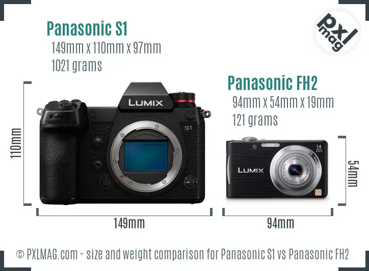 Panasonic S1 vs Panasonic FH2 size comparison