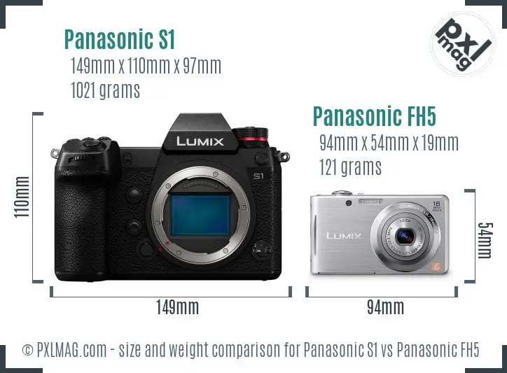 Panasonic S1 vs Panasonic FH5 size comparison