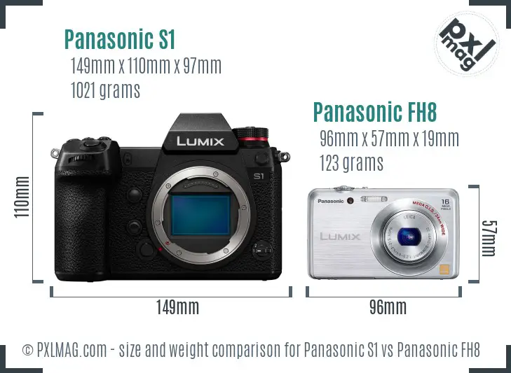 Panasonic S1 vs Panasonic FH8 size comparison