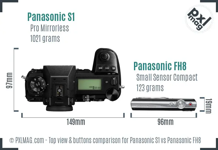 Panasonic S1 vs Panasonic FH8 top view buttons comparison