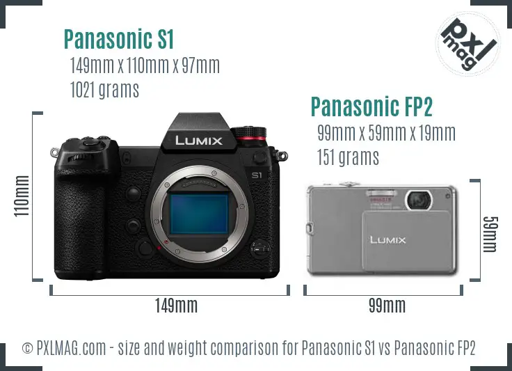 Panasonic S1 vs Panasonic FP2 size comparison