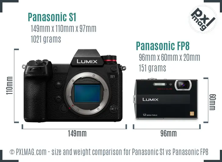 Panasonic S1 vs Panasonic FP8 size comparison
