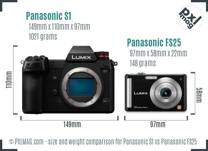 Panasonic S1 vs Panasonic FS25 size comparison
