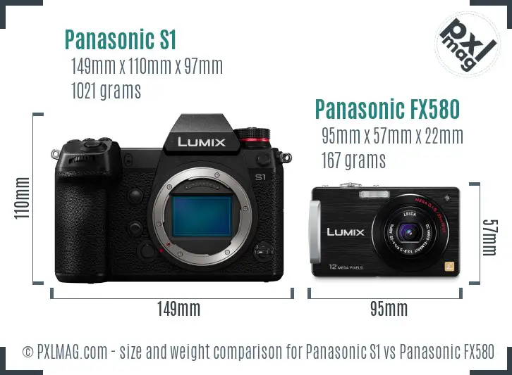 Panasonic S1 vs Panasonic FX580 size comparison