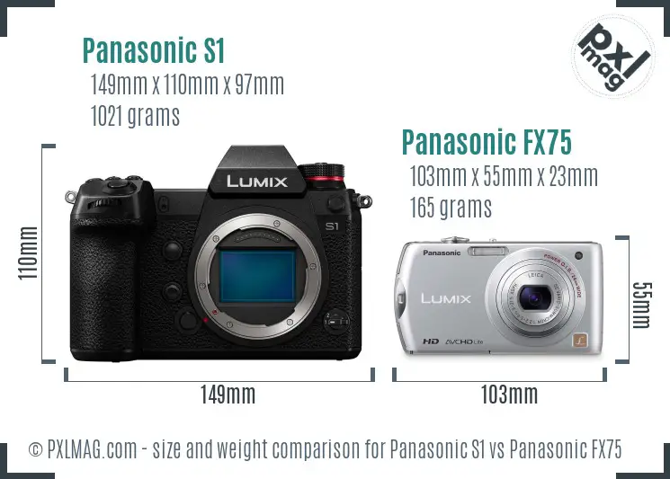 Panasonic S1 vs Panasonic FX75 size comparison