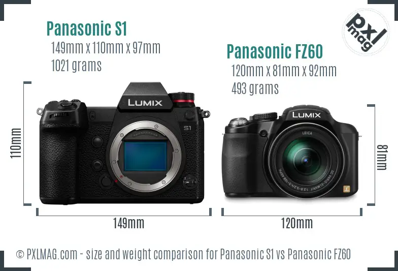 Panasonic S1 vs Panasonic FZ60 size comparison