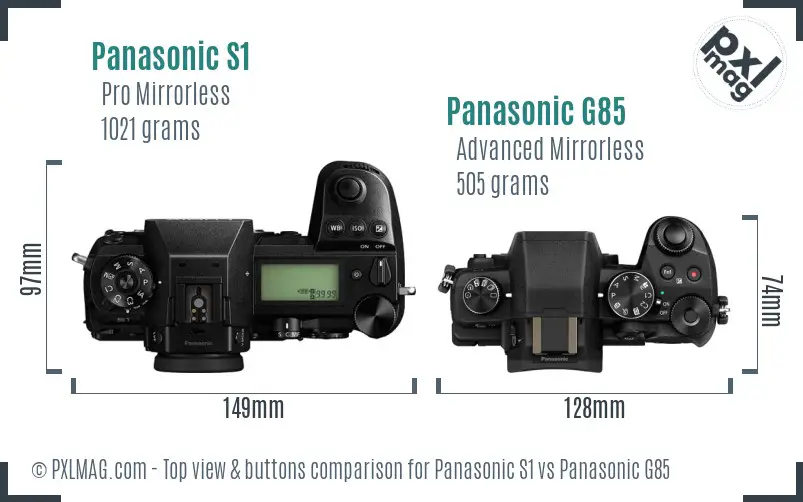 Panasonic S1 vs Panasonic G85 top view buttons comparison