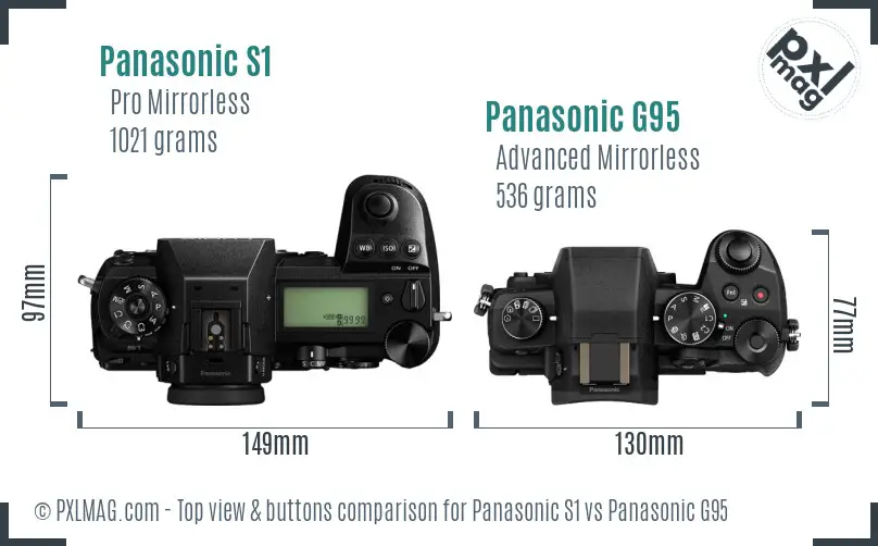 Panasonic S1 vs Panasonic G95 top view buttons comparison