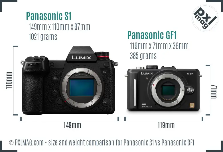 Panasonic S1 vs Panasonic GF1 size comparison