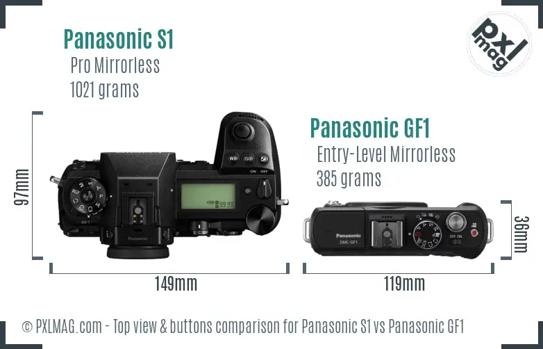 Panasonic S1 vs Panasonic GF1 top view buttons comparison