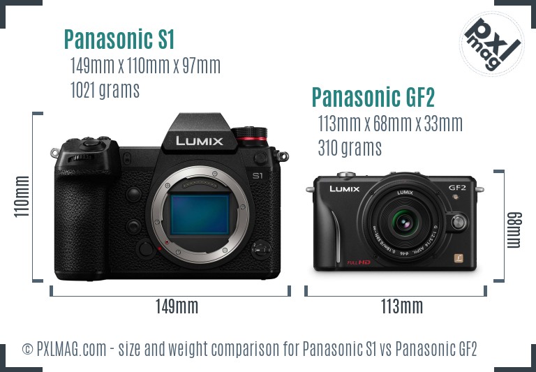 Panasonic S1 vs Panasonic GF2 size comparison