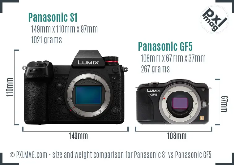 Panasonic S1 vs Panasonic GF5 size comparison