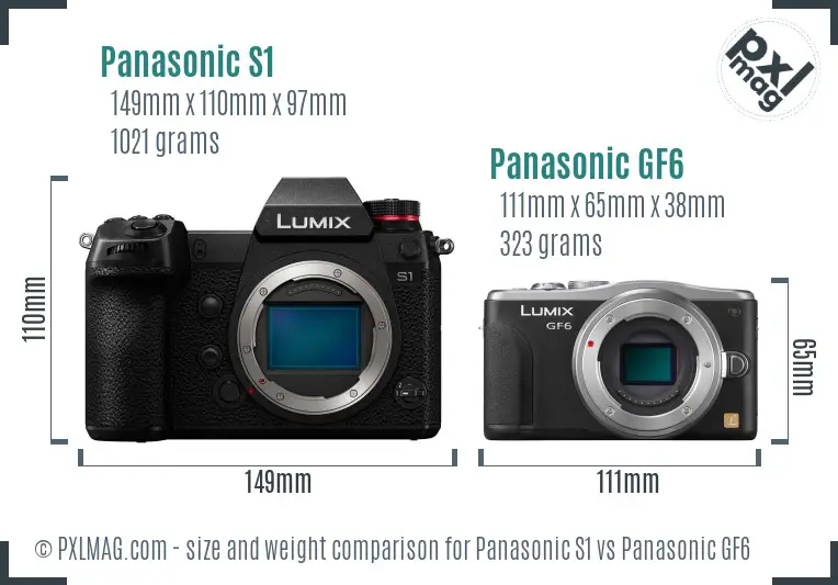 Panasonic S1 vs Panasonic GF6 size comparison