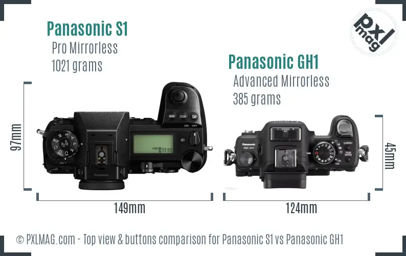 Panasonic S1 vs Panasonic GH1 top view buttons comparison