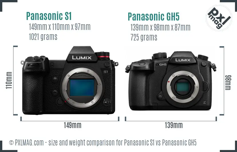 Panasonic S1 vs Panasonic GH5 size comparison