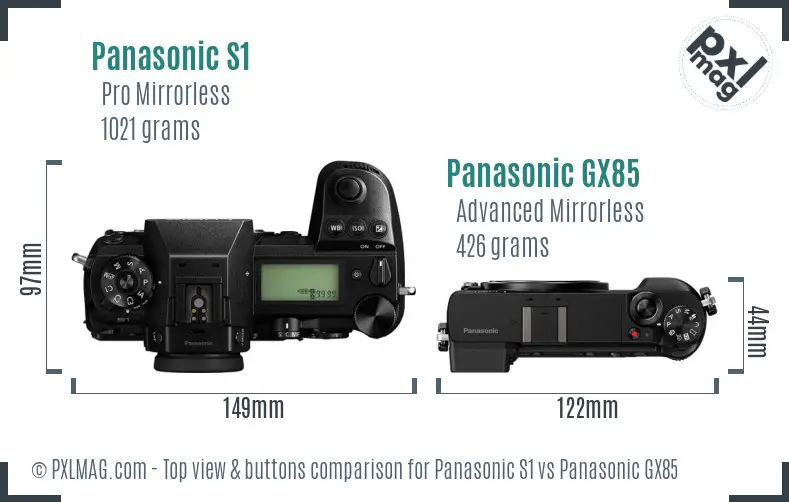 Panasonic S1 vs Panasonic GX85 top view buttons comparison