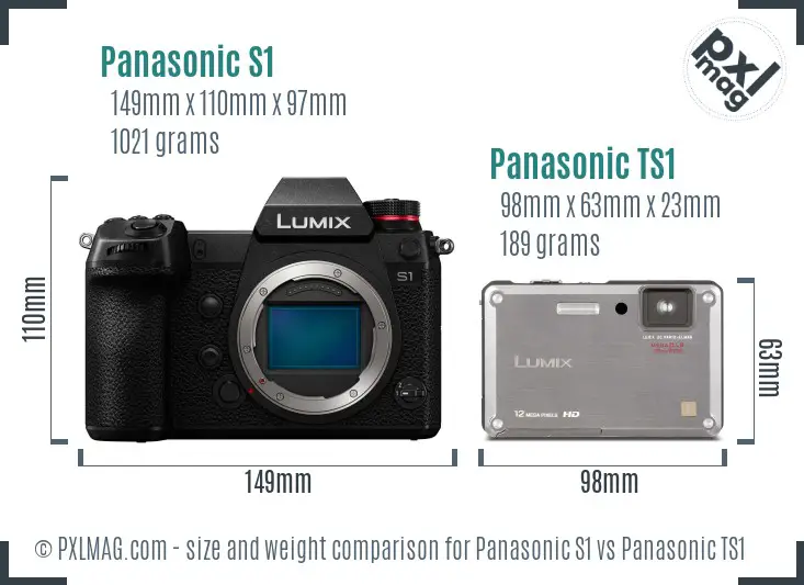 Panasonic S1 vs Panasonic TS1 size comparison