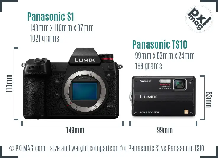 Panasonic S1 vs Panasonic TS10 size comparison