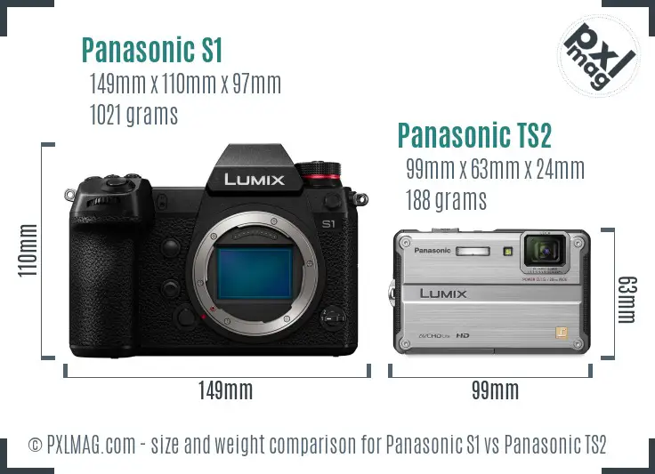 Panasonic S1 vs Panasonic TS2 size comparison