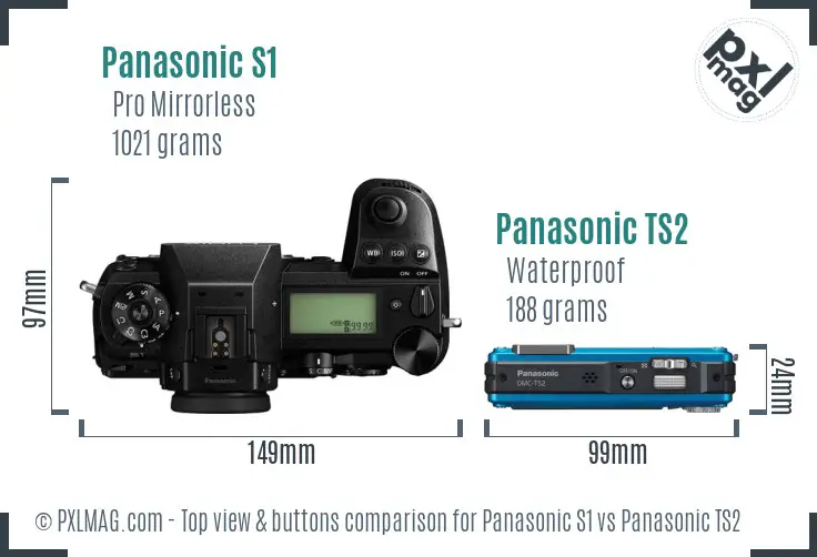 Panasonic S1 vs Panasonic TS2 top view buttons comparison