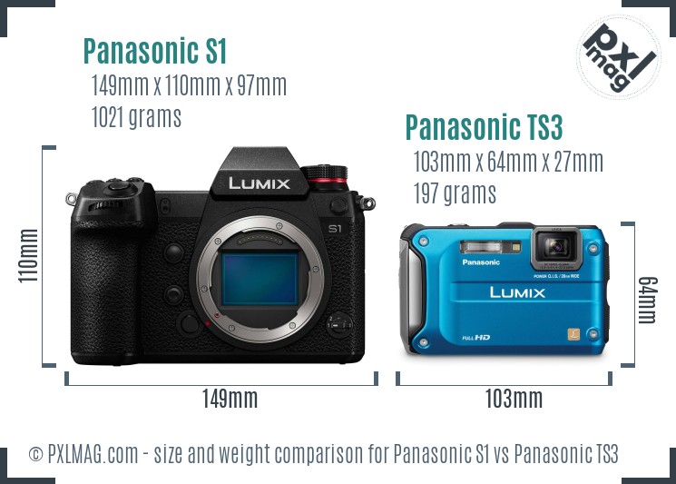 Panasonic S1 vs Panasonic TS3 size comparison