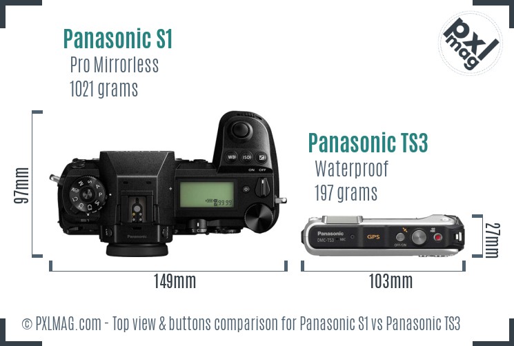 Panasonic S1 vs Panasonic TS3 top view buttons comparison