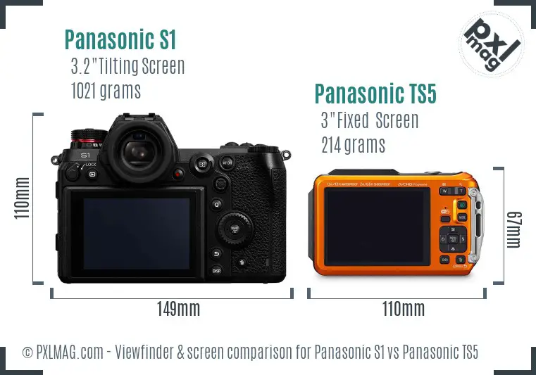 Panasonic S1 vs Panasonic TS5 Screen and Viewfinder comparison
