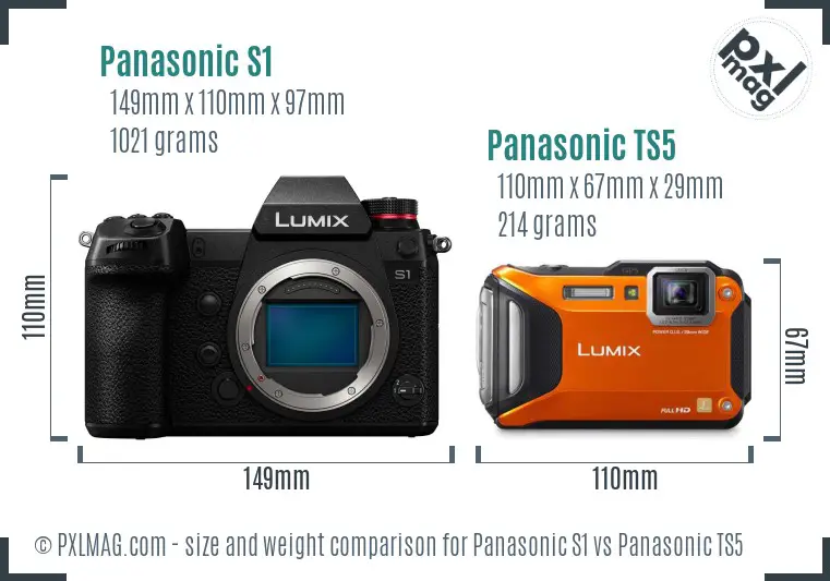 Panasonic S1 vs Panasonic TS5 size comparison