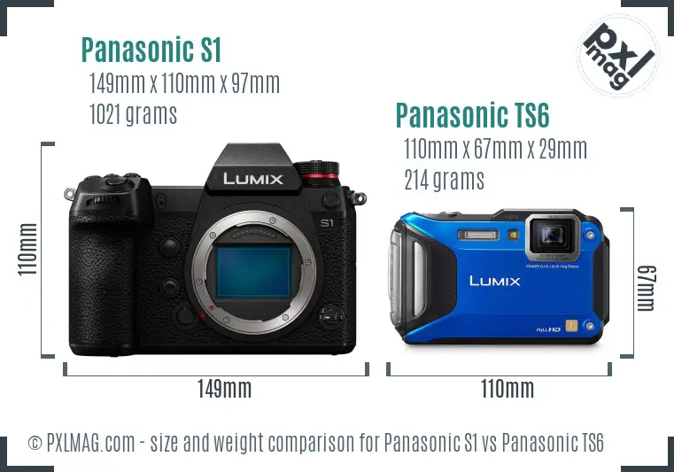 Panasonic S1 vs Panasonic TS6 size comparison
