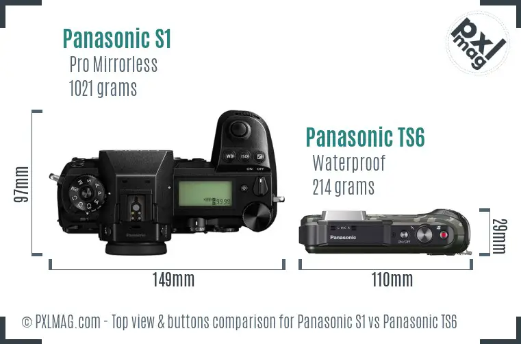 Panasonic S1 vs Panasonic TS6 top view buttons comparison