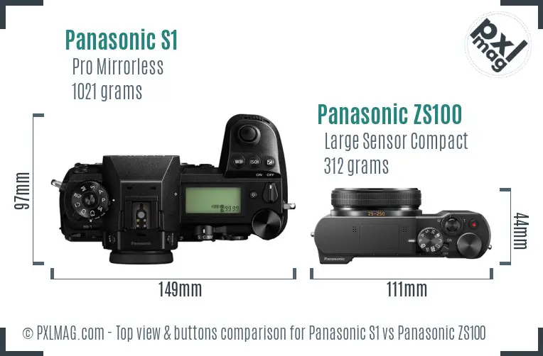 Panasonic S1 vs Panasonic ZS100 top view buttons comparison