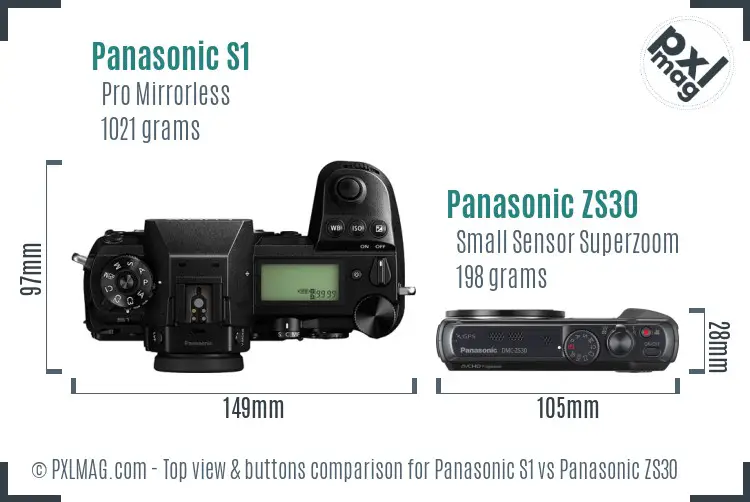 Panasonic S1 vs Panasonic ZS30 top view buttons comparison