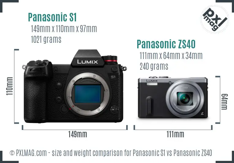 Panasonic S1 vs Panasonic ZS40 size comparison