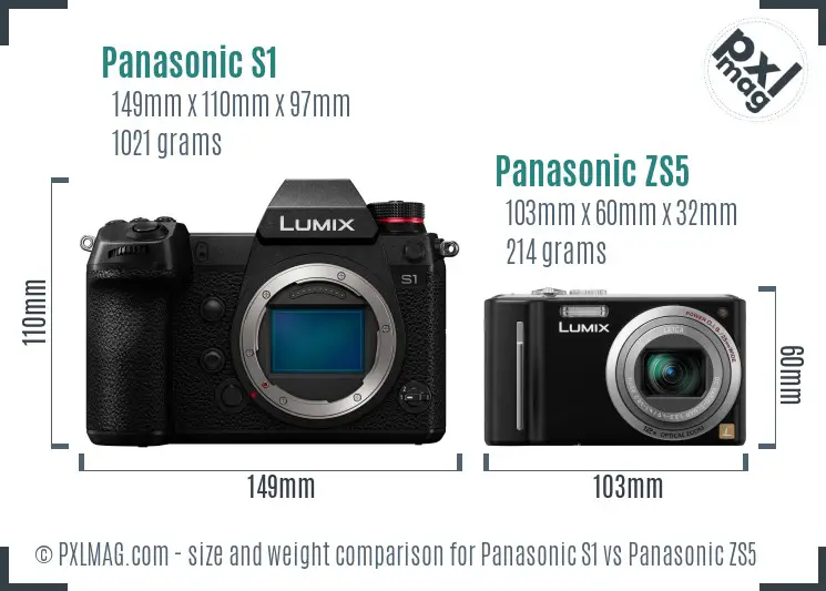 Panasonic S1 vs Panasonic ZS5 size comparison
