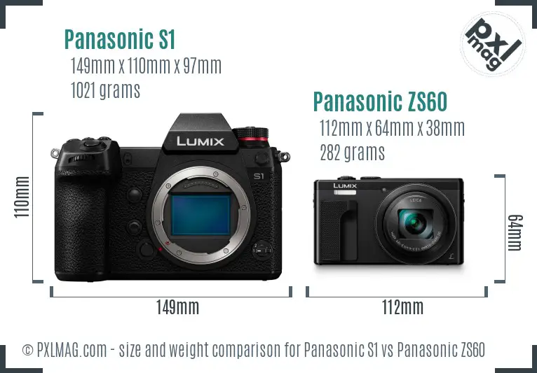 Panasonic S1 vs Panasonic ZS60 size comparison