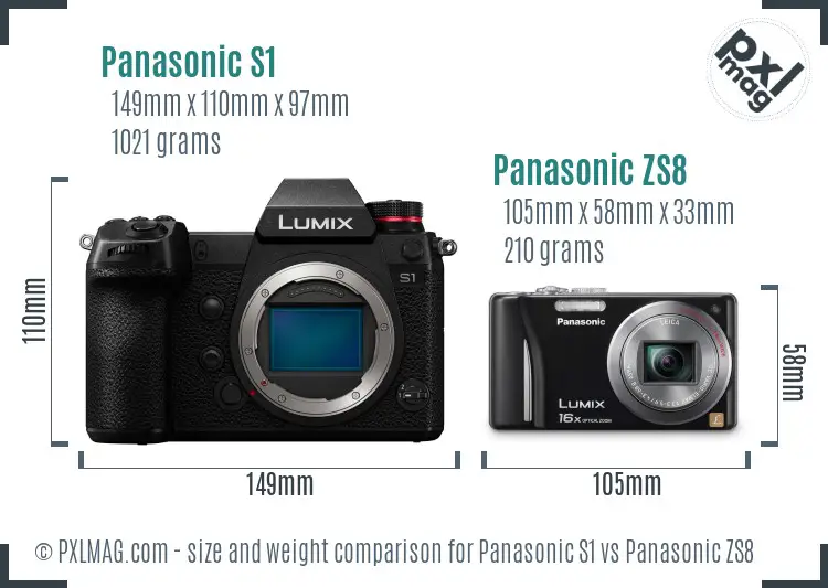 Panasonic S1 vs Panasonic ZS8 size comparison
