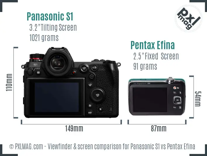 Panasonic S1 vs Pentax Efina Screen and Viewfinder comparison