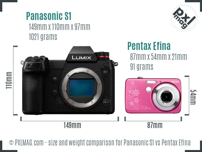 Panasonic S1 vs Pentax Efina size comparison