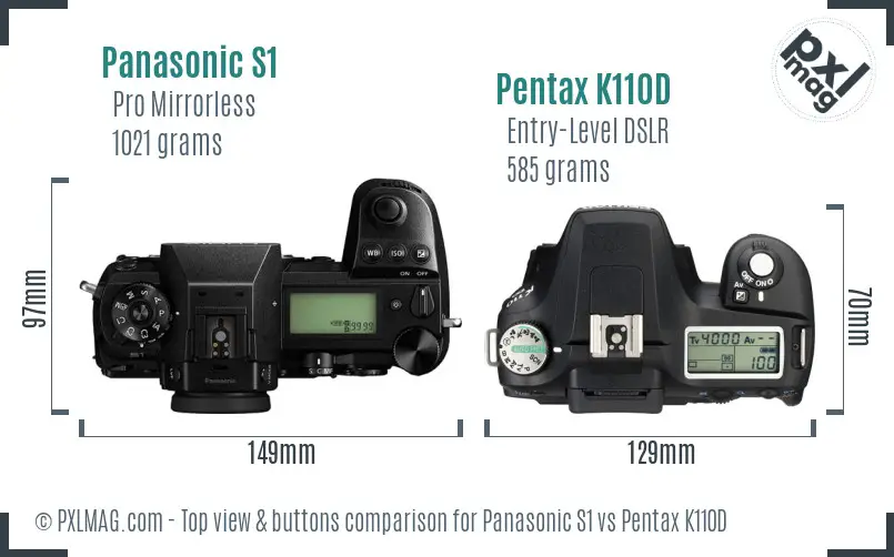 Panasonic S1 vs Pentax K110D top view buttons comparison