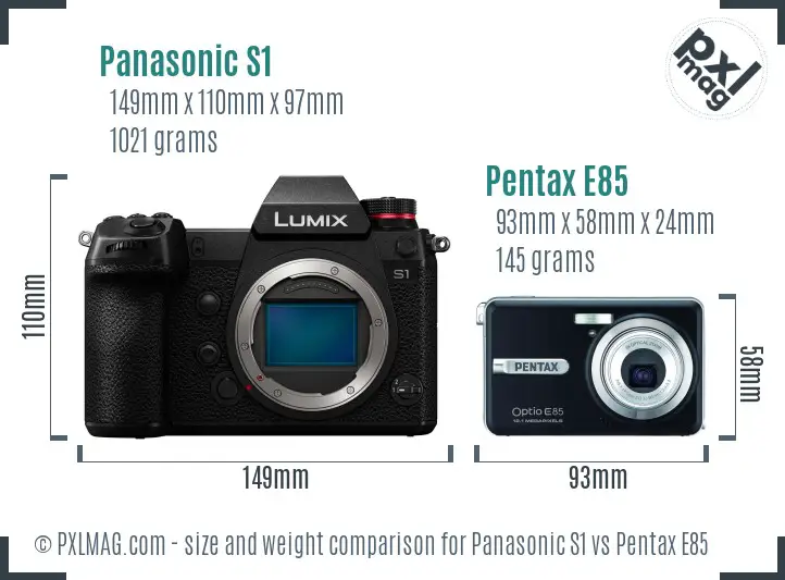 Panasonic S1 vs Pentax E85 size comparison