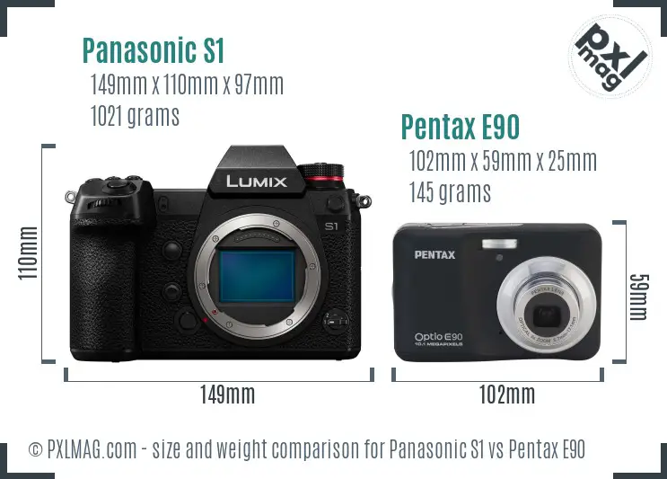 Panasonic S1 vs Pentax E90 size comparison