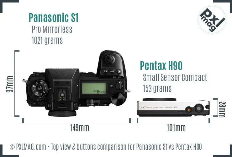 Panasonic S1 vs Pentax H90 top view buttons comparison