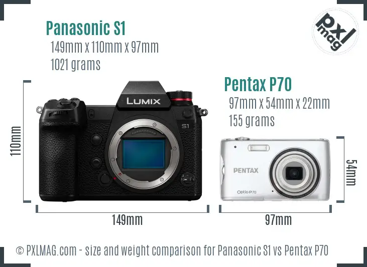 Panasonic S1 vs Pentax P70 size comparison