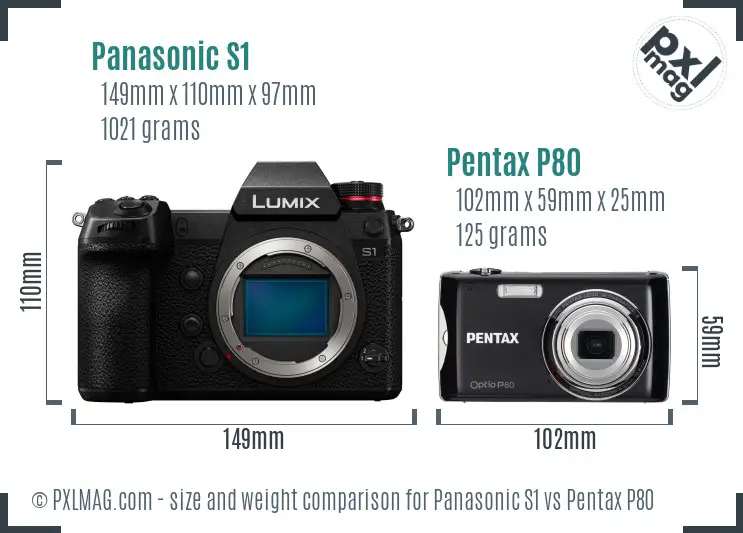 Panasonic S1 vs Pentax P80 size comparison