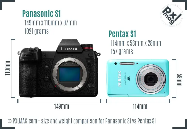 Panasonic S1 vs Pentax S1 size comparison