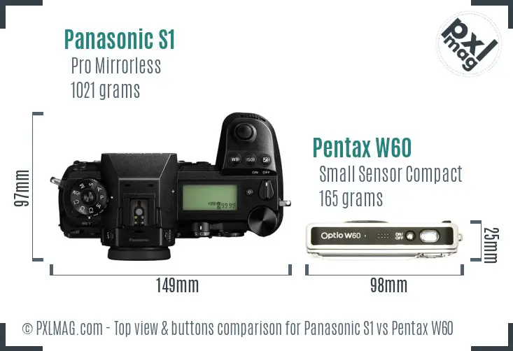 Panasonic S1 vs Pentax W60 top view buttons comparison