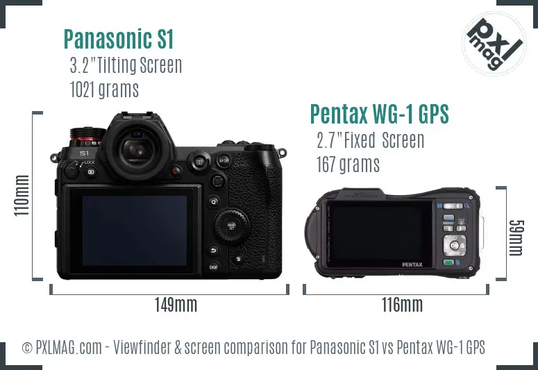 Panasonic S1 vs Pentax WG-1 GPS Screen and Viewfinder comparison