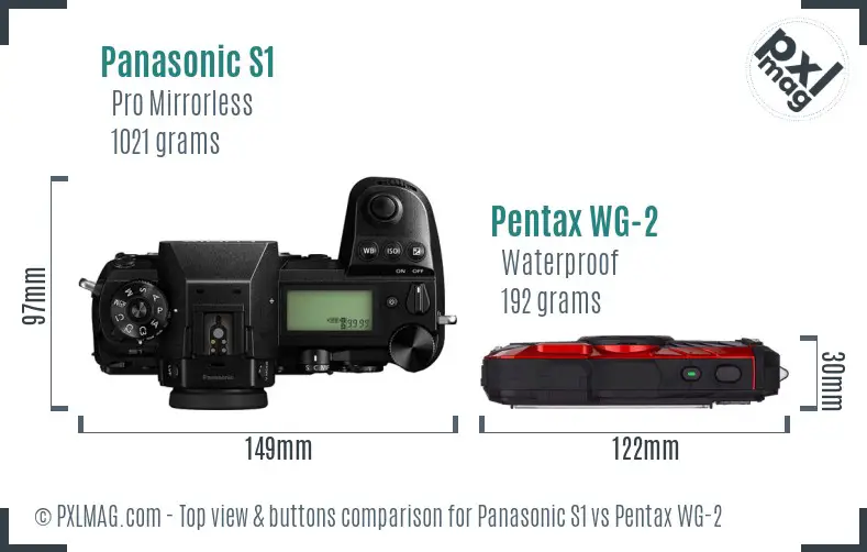 Panasonic S1 vs Pentax WG-2 top view buttons comparison